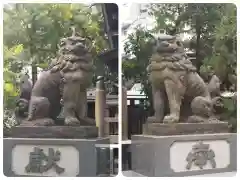 蔵前神社の狛犬