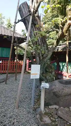 上野東照宮の庭園