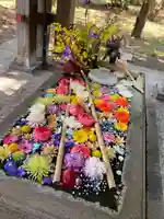 札幌護國神社の手水舎