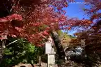 目の霊山 油山寺(静岡県)