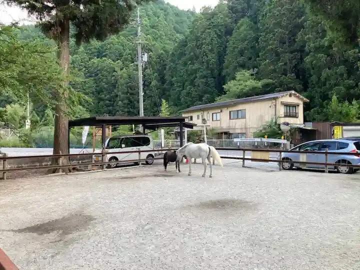 丹生川上神社(下社)(奈良県)