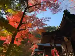 普門寺(切り絵御朱印発祥の寺)(愛知県)