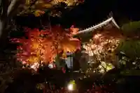 蓮光寺(山口県)