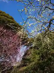 龍尾神社の自然