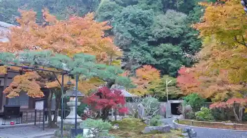 高徳庵　(最勝院）の庭園