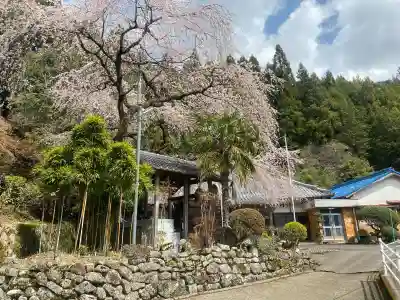 瑞岩寺の{uncategorized: "未分類", other: "その他", undefined: "問題あり", building: "その他建物", grave: "お墓", sacred_gate: "鳥居", guardian: "狛犬", statue: "像", buddha: "仏像", history: "歴史", nature: "自然", garden: "庭園", animal: "動物", pagoda: "塔", temizu: "手水舎", mountain_gate: "山門・神門", sanctuary: "本殿・本堂", subordinate: "末社・摂社", art: "芸術", scenery: "景色", jizo: "地蔵", ema: "絵馬", goshuin: "御朱印", omikuji: "おみくじ", items: "授与品その他", amulet: "お守り", goshuincho: "御朱印帳", eats: "食事", festival: "お祭り", votive_dance: "神楽", shichigosan: "七五三参", wedding: "結婚式", experience: "体験その他", initially: "初詣", around: "周辺", anti_infection: "感染症対策"}