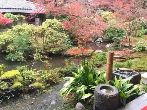 実相院門跡の庭園