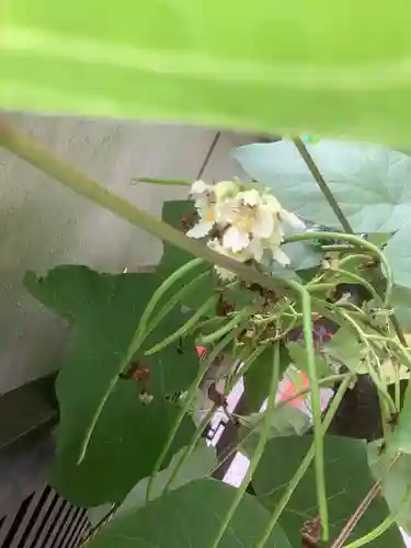 大光院(愛知県)