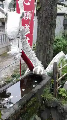 蛇窪神社の狛犬