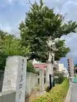 善明寺(東京都)