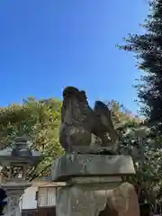 高屋神社の狛犬