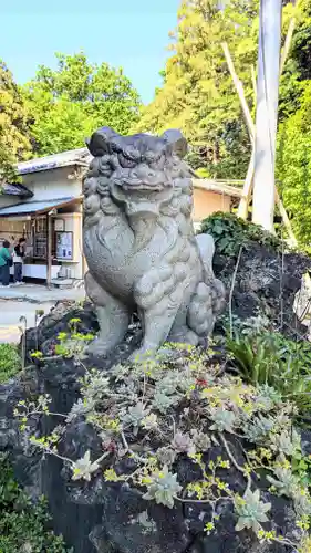 柏諏訪神社の狛犬