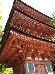 浄瑠璃寺(京都府)