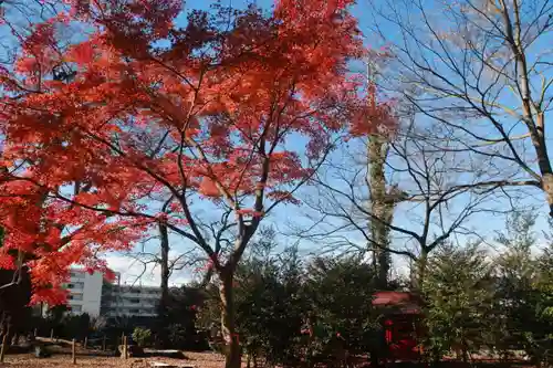 神炊館神社 ⁂奥州須賀川総鎮守⁂の末社・摂社
