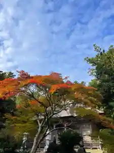 国上寺(新潟県)(2025年11月05日(水) 18時20分50秒投稿)