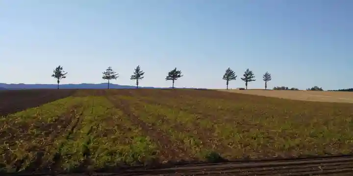美幌神社の周辺