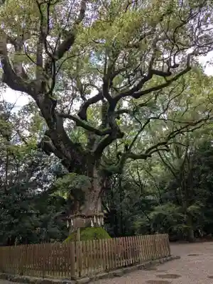 熱田神宮(愛知県)