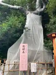 城山八幡宮(愛知県)