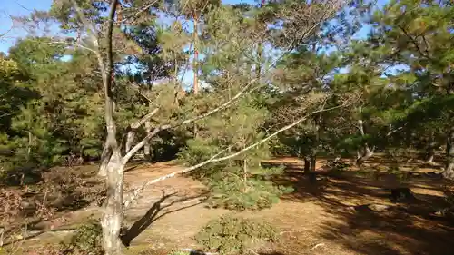 鹿苑寺（金閣寺）の庭園