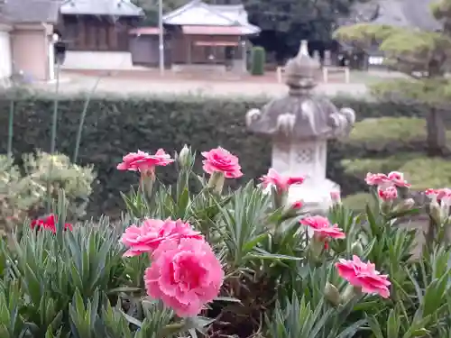伏木香取神社の自然