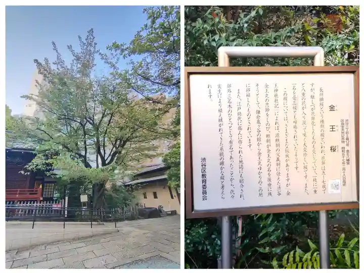 金王八幡宮の{uncategorized: "未分類", other: "その他", undefined: "問題あり", building: "その他建物", grave: "お墓", sacred_gate: "鳥居", guardian: "狛犬", statue: "像", buddha: "仏像", history: "歴史", nature: "自然", garden: "庭園", animal: "動物", pagoda: "塔", temizu: "手水舎", mountain_gate: "山門・神門", sanctuary: "本殿・本堂", subordinate: "末社・摂社", art: "芸術", scenery: "景色", jizo: "地蔵", ema: "絵馬", goshuin: "御朱印", omikuji: "おみくじ", items: "授与品その他", amulet: "お守り", goshuincho: "御朱印帳", eats: "食事", festival: "お祭り", votive_dance: "神楽", shichigosan: "七五三参", wedding: "結婚式", experience: "体験その他", initially: "初詣", around: "周辺", anti_infection: "感染症対策"}