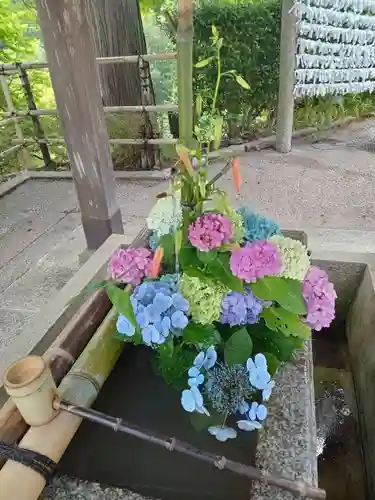 善峯寺(京都府)