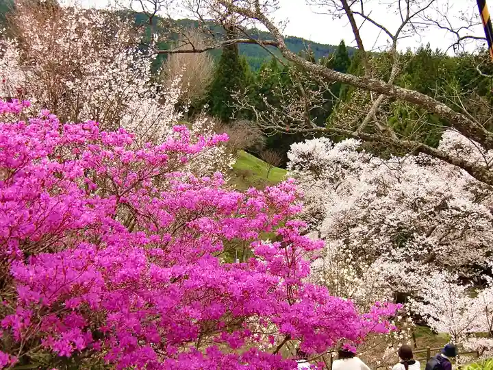 仏隆寺(奈良県)