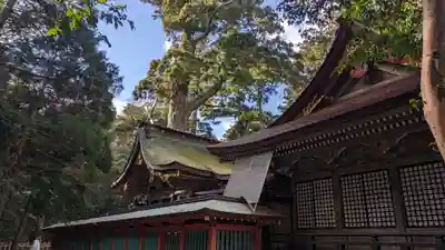 鹿島神宮(茨城県)