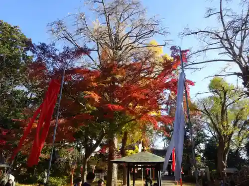 明王院（満願寺別院）の自然