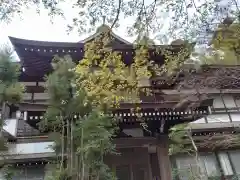 心行寺(神奈川県)