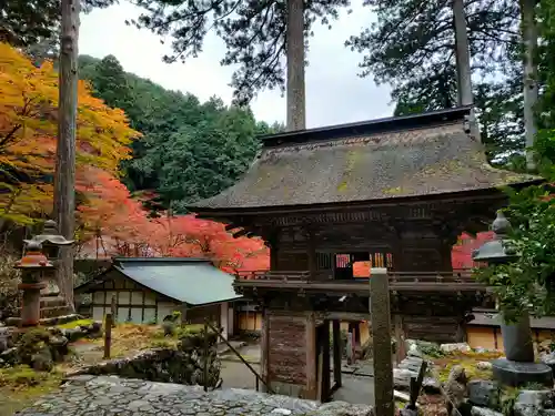 横蔵寺の山門