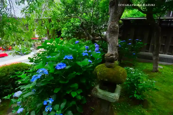佛日庵(神奈川県)