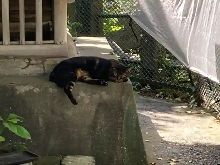海南神社の動物