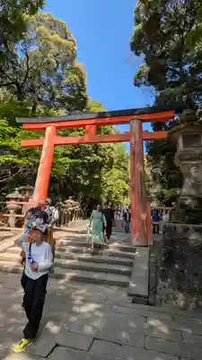 春日大社(奈良県)