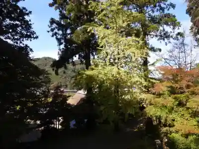 萬徳寺(福井県)