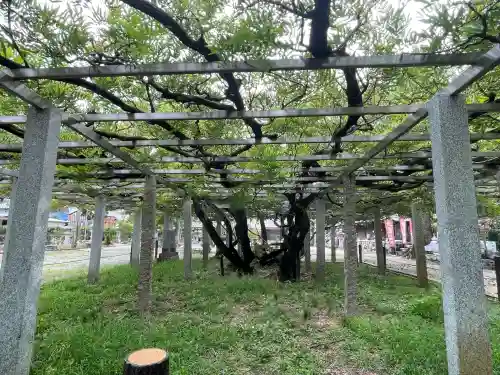 三大神社(滋賀県)