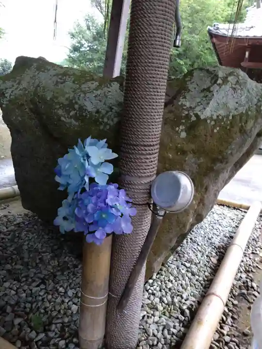 河内阿蘇神社(熊本県)