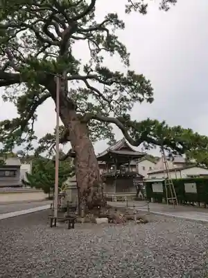 大慶寺のその他建物