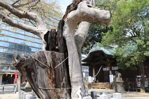 阿邪訶根神社の景色