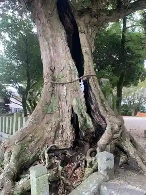 若八幡宮(福岡県)