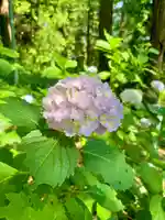 蚊里田八幡宮(長野県)