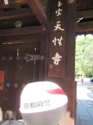 天性寺の山門・神門