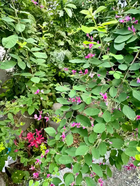 勝念寺(かましきさん)の自然