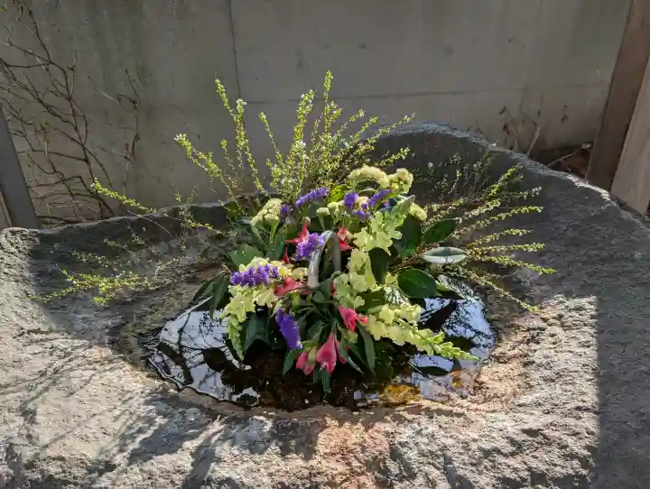 愛宕神社の{uncategorized: "未分類", other: "その他", undefined: "問題あり", building: "その他建物", grave: "お墓", sacred_gate: "鳥居", guardian: "狛犬", statue: "像", buddha: "仏像", history: "歴史", nature: "自然", garden: "庭園", animal: "動物", pagoda: "塔", temizu: "手水舎", mountain_gate: "山門・神門", sanctuary: "本殿・本堂", subordinate: "末社・摂社", art: "芸術", scenery: "景色", jizo: "地蔵", ema: "絵馬", goshuin: "御朱印", omikuji: "おみくじ", items: "授与品その他", amulet: "お守り", goshuincho: "御朱印帳", eats: "食事", festival: "お祭り", votive_dance: "神楽", shichigosan: "七五三参", wedding: "結婚式", experience: "体験その他", initially: "初詣", around: "周辺", anti_infection: "感染症対策"}