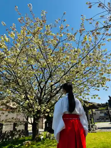 守りの神　藤基神社(新潟県)
