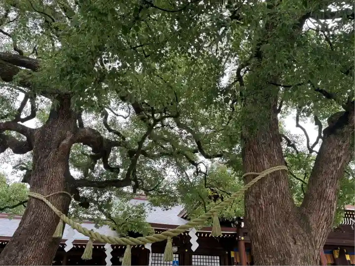 明治神宮(東京都)