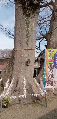八枝神社(埼玉県)