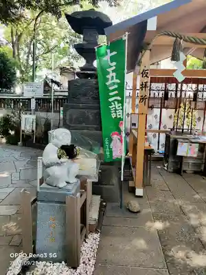 戸越八幡神社の狛犬