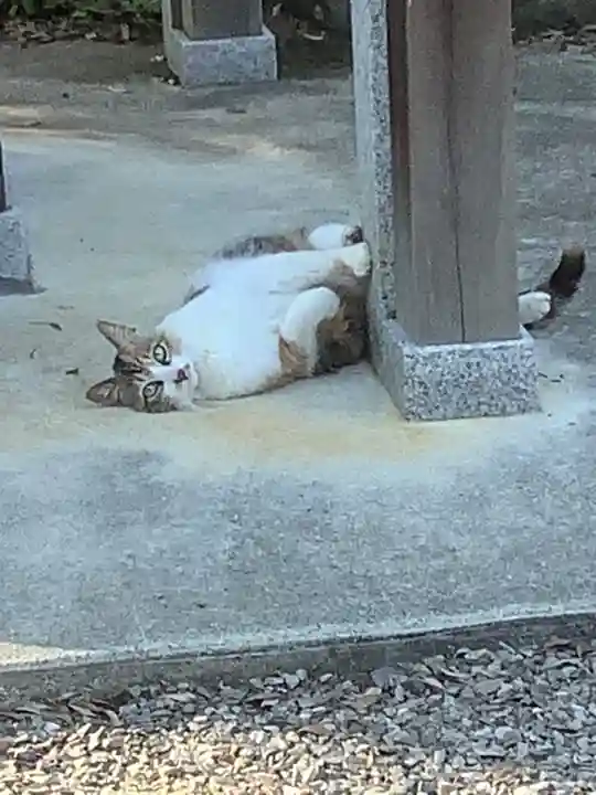 玉野御嶽神社の動物