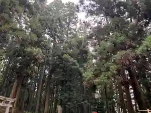 大宮温泉神社(栃木県)(2023年09月09日(土) 08時15分52秒投稿)